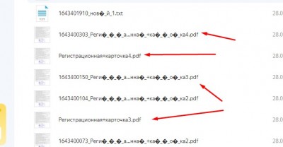 Screenshot_13.jpg