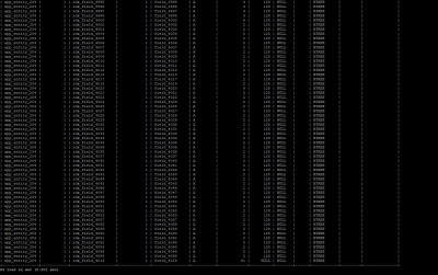 entity_204.JPG